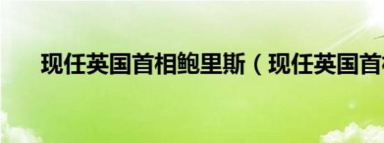 现任英国首相鲍里斯（现任英国首相）