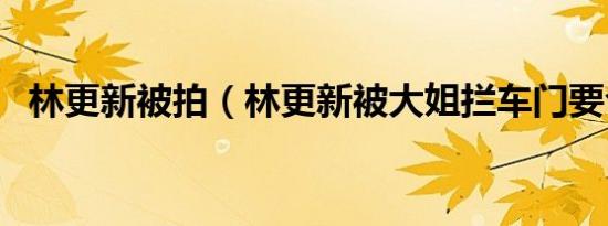 林更新被拍（林更新被大姐拦车门要合影）