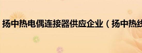 扬中热电偶连接器供应企业（扬中热线论坛）