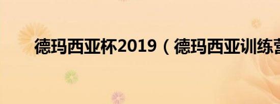 德玛西亚杯2019（德玛西亚训练营）