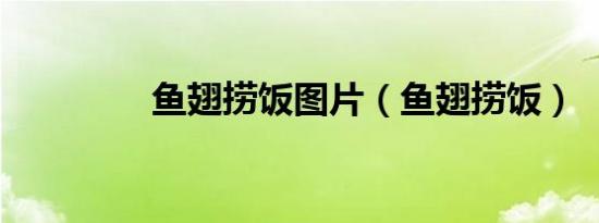 鱼翅捞饭图片（鱼翅捞饭）
