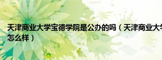天津商业大学宝德学院是公办的吗（天津商业大学宝德学院怎么样）