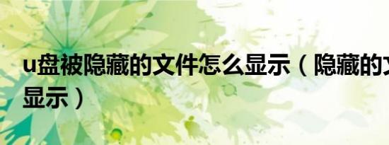 u盘被隐藏的文件怎么显示（隐藏的文件怎么显示）