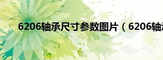 6206轴承尺寸参数图片（6206轴承）