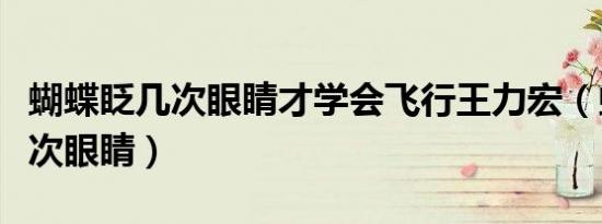 蝴蝶眨几次眼睛才学会飞行王力宏（蝴蝶眨几次眼睛）
