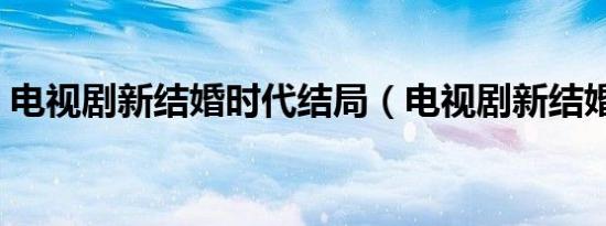 电视剧新结婚时代结局（电视剧新结婚时代）