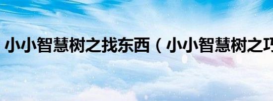 小小智慧树之找东西（小小智慧树之巧巧手）