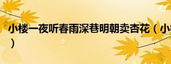 小楼一夜听春雨深巷明朝卖杏花（小楼传说贰）