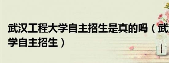 武汉工程大学自主招生是真的吗（武汉工程大学自主招生）