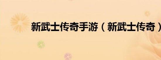 新武士传奇手游（新武士传奇）