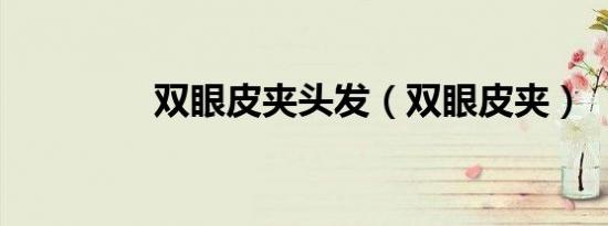 双眼皮夹头发（双眼皮夹）