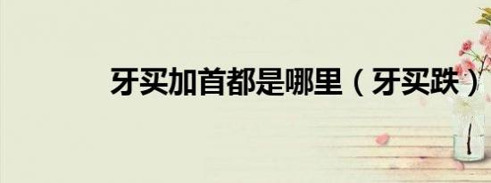 牙买加首都是哪里（牙买跌）