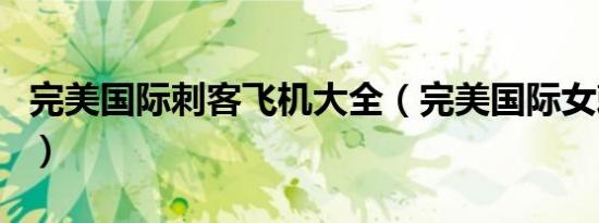 完美国际刺客飞机大全（完美国际女刺客代码）