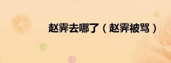 赵霁去哪了（赵霁被骂）