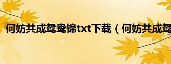 何妨共成鸳鸯锦txt下载（何妨共成鸳鸯锦）