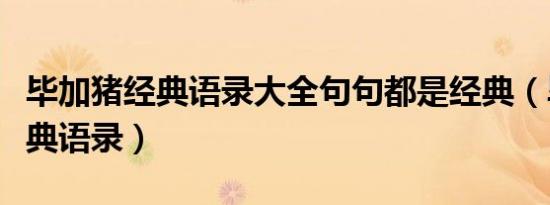 毕加猪经典语录大全句句都是经典（毕加猪经典语录）