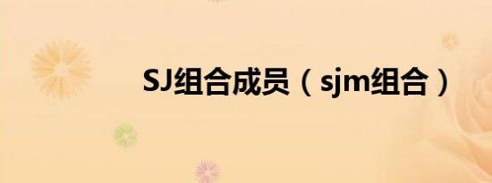 SJ组合成员（sjm组合）