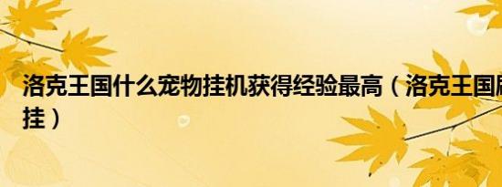 洛克王国什么宠物挂机获得经验最高（洛克王国刷绝版宠物挂）