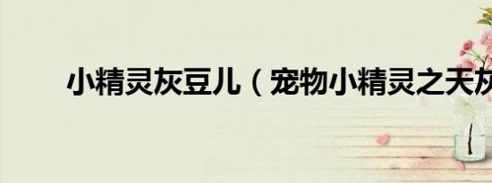 小精灵灰豆儿（宠物小精灵之天灰）