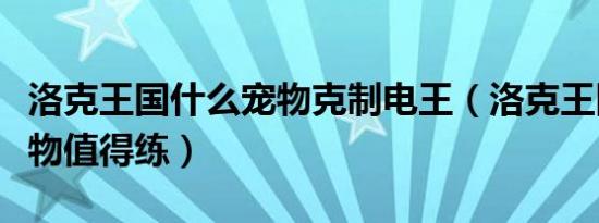 洛克王国什么宠物克制电王（洛克王国什么宠物值得练）