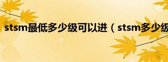 stsm最低多少级可以进（stsm多少级能进）