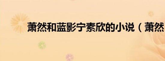 萧然和蓝影宁素欣的小说（萧然）