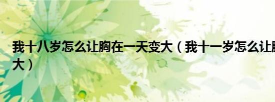 我十八岁怎么让胸在一天变大（我十一岁怎么让胸在一天变大）