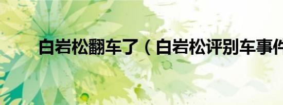 白岩松翻车了（白岩松评别车事件）