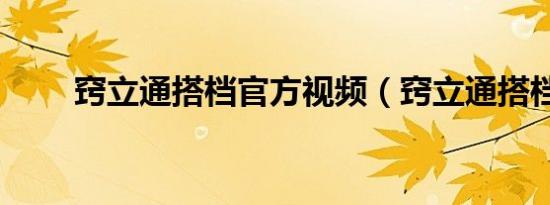 窍立通搭档官方视频（窍立通搭档）