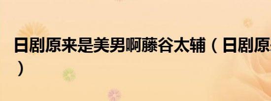 日剧原来是美男啊藤谷太辅（日剧原来是美男）