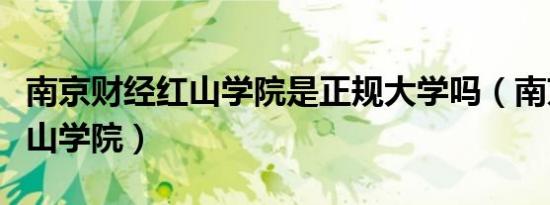 南京财经红山学院是正规大学吗（南京财经红山学院）
