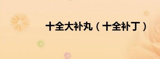 十全大补丸（十全补丁）