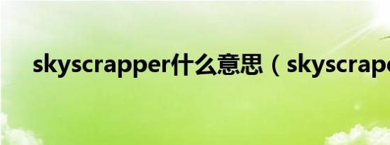 skyscrapper什么意思（skyscrapers）