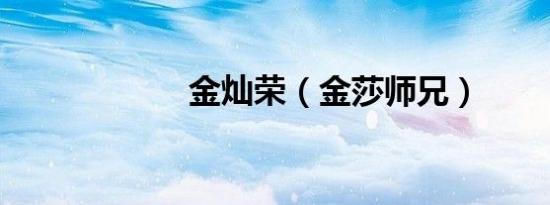 金灿荣（金莎师兄）