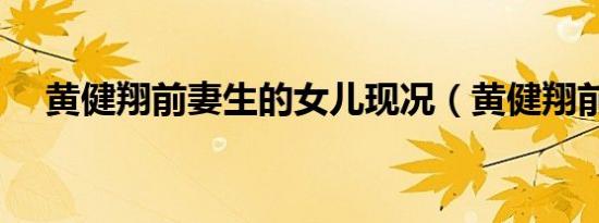 黄健翔前妻生的女儿现况（黄健翔前妻）