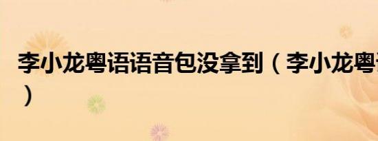 李小龙粤语语音包没拿到（李小龙粤语语音包）