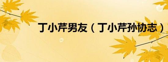 丁小芹男友（丁小芹孙协志）