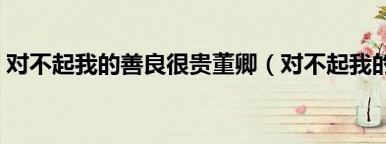 对不起我的善良很贵董卿（对不起我的心灵）