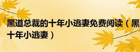 黑道总裁的十年小逃妻免费阅读（黑道总裁的十年小逃妻）
