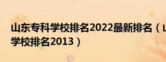 山东专科学校排名2022最新排名（山东专科学校排名2013）