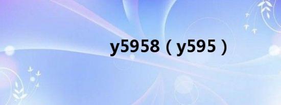 y5958（y595）