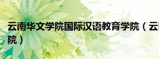 云南华文学院国际汉语教育学院（云南华文学院）