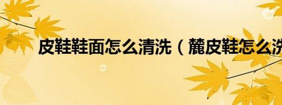 皮鞋鞋面怎么清洗（麓皮鞋怎么洗）