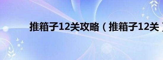 推箱子12关攻略（推箱子12关）
