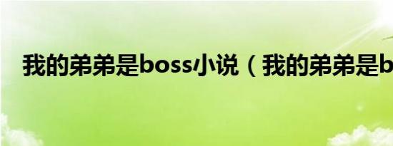 我的弟弟是boss小说（我的弟弟是boss）