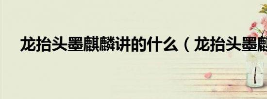 龙抬头墨麒麟讲的什么（龙抬头墨麒麟）