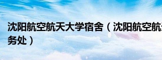 沈阳航空航天大学宿舍（沈阳航空航天大学教务处）