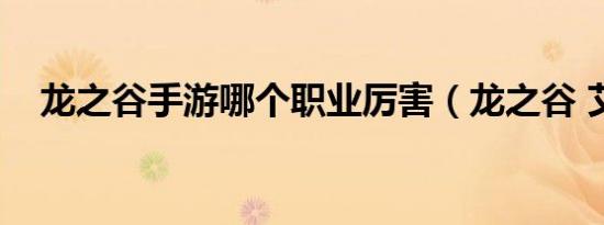 龙之谷手游哪个职业厉害（龙之谷 艾琳）