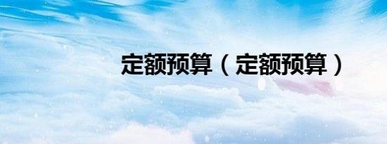 定额预算（定额预算）