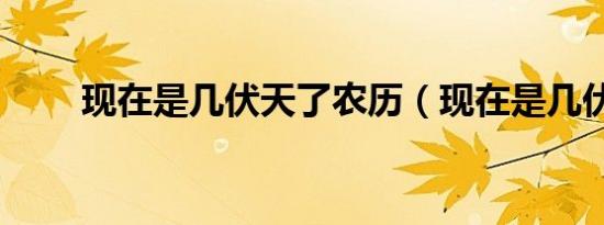 现在是几伏天了农历（现在是几伏）